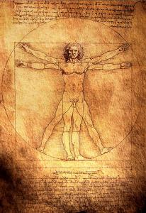 dessin léonard de vinci